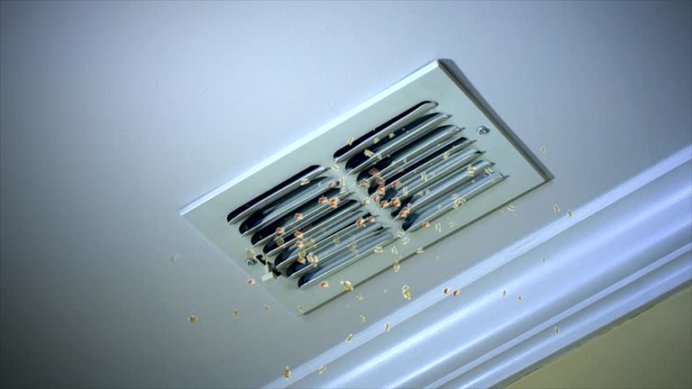 Best Duct Cleaning for Offices  in Luverne, MN