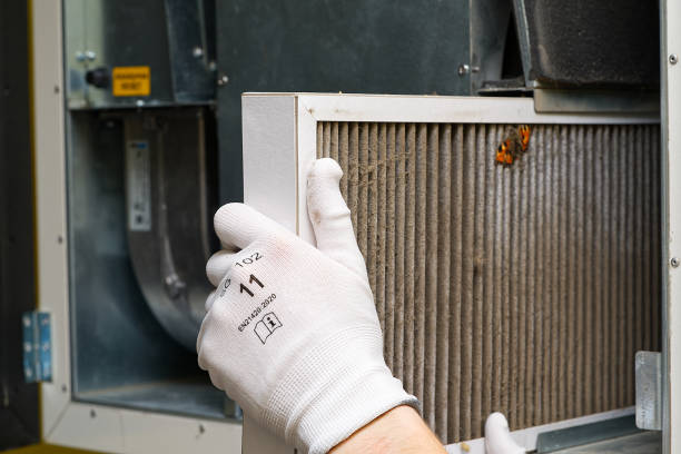 Best Emergency Air Duct Cleaning  in Luverne, MN